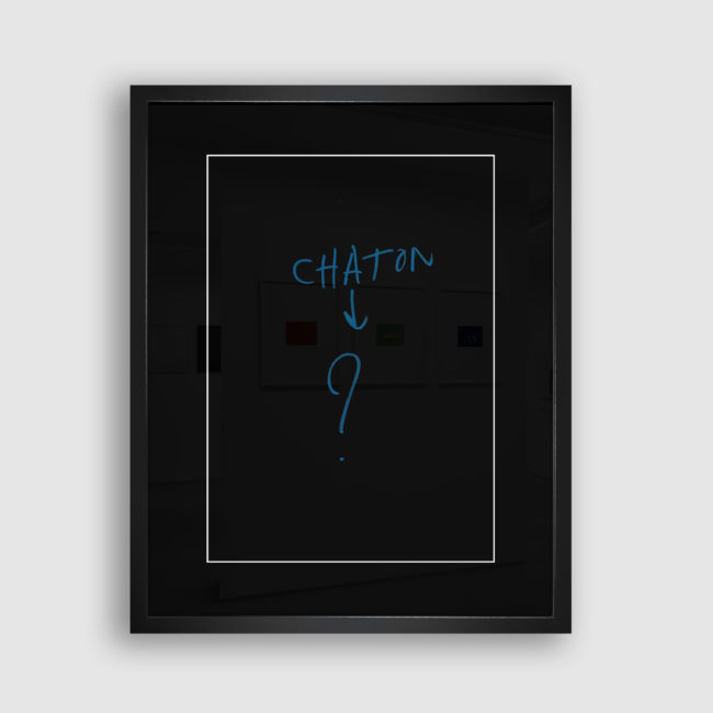 Autoportrait de Chaton, Collection Trombinoscope © adscite, Alexandre Fisselier et Mathilde François